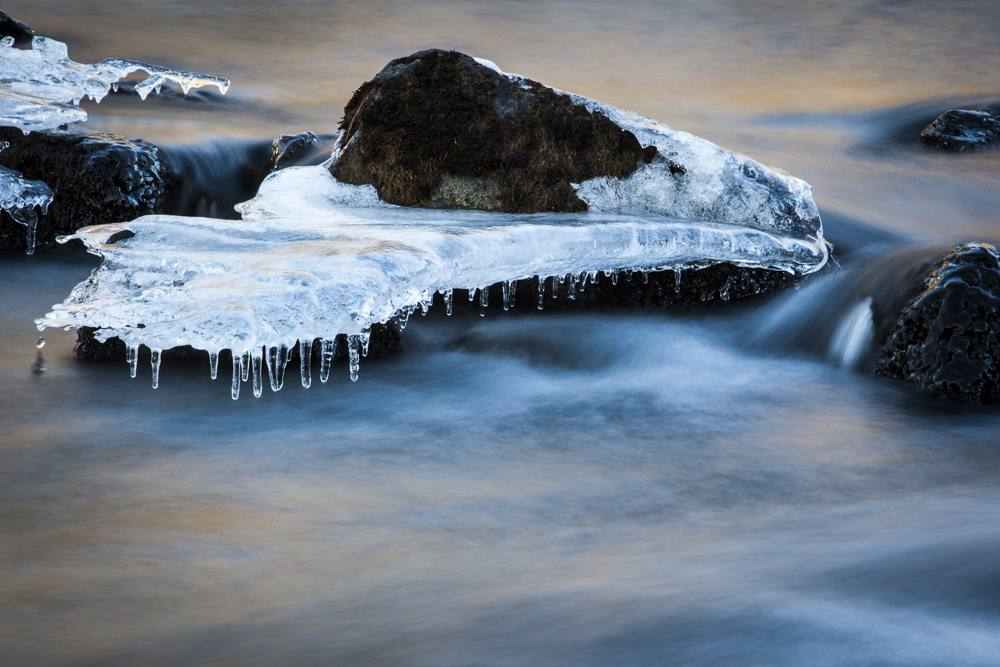 12. Platz Manfred Klughammer